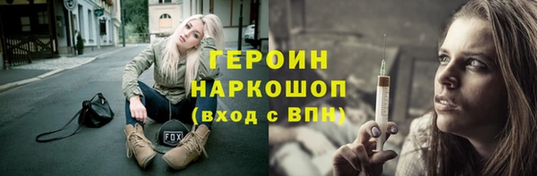 гашик Алексин