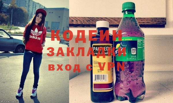 гашик Алексин