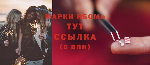 гашик Алексин