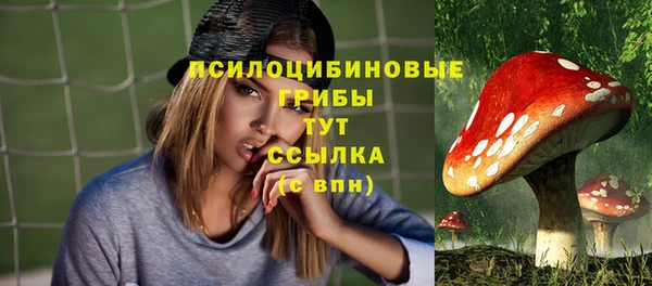 гашик Алексин