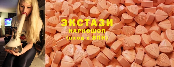 гашик Алексин