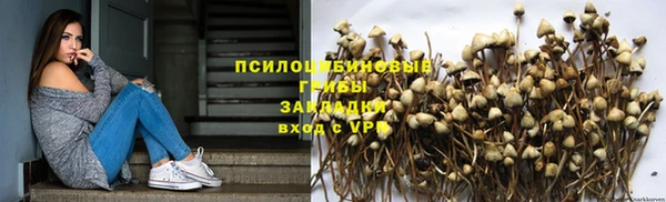 ALPHA-PVP Алексеевка