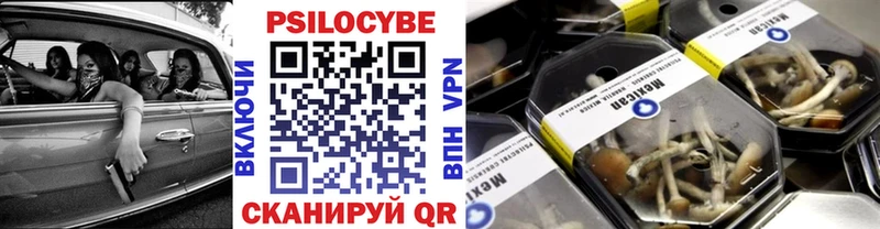 Галлюциногенные грибы Psilocybe  Губкин 