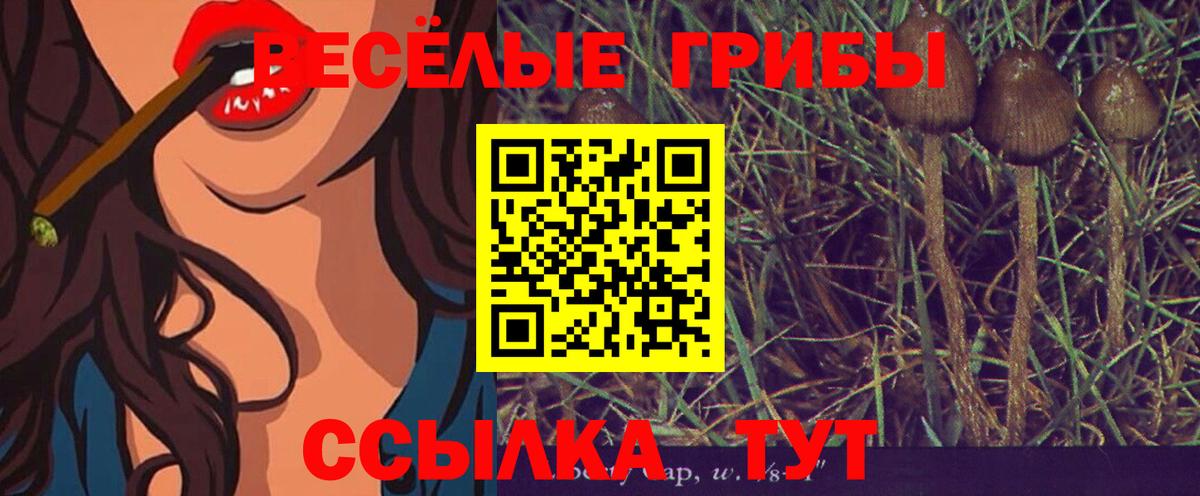 Галлюциногенные грибы ЛСД  Вход с VPN  Губкин 