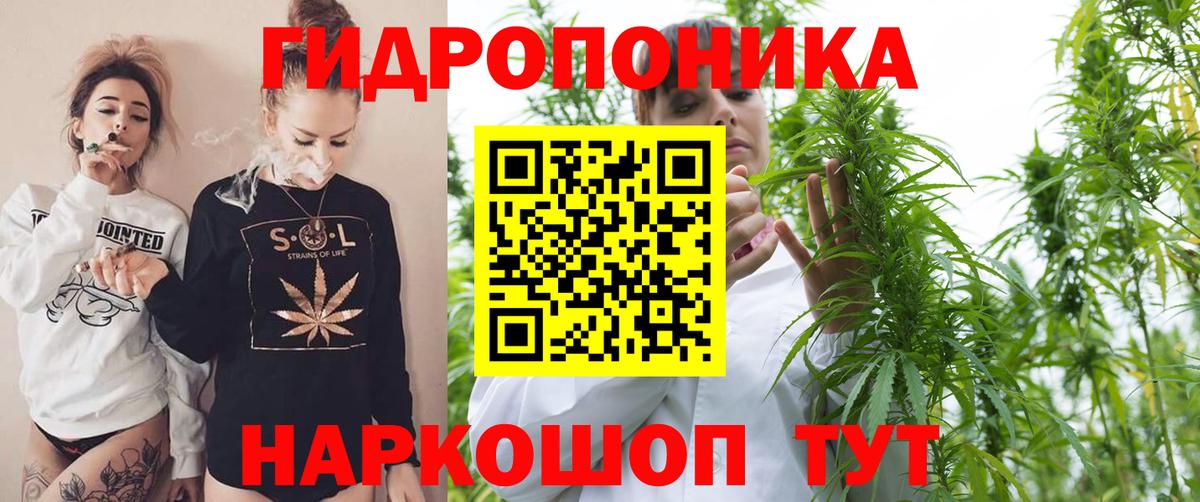 Конопля планчик  Бошки Шишки OG Kush  Вход с VPN  Губкин  Бошки Шишки тримм 